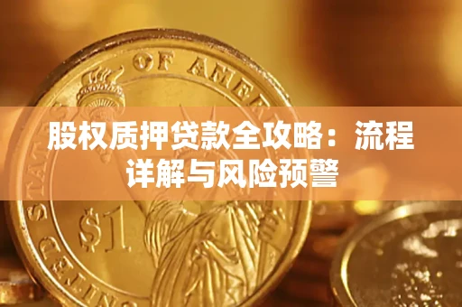 武汉股权质押贷款全攻略：流程详解与风险预警