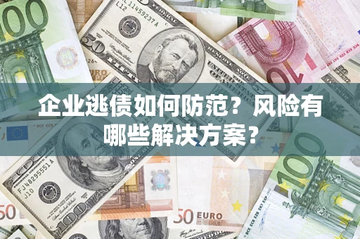 武汉企业逃债如何防范？风险有哪些解决方案？