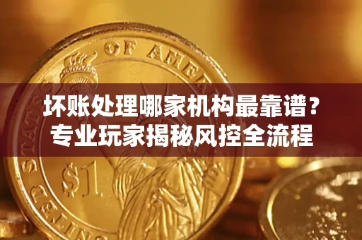 武汉坏账处理哪家机构最靠谱？专业玩家揭秘风控全流程