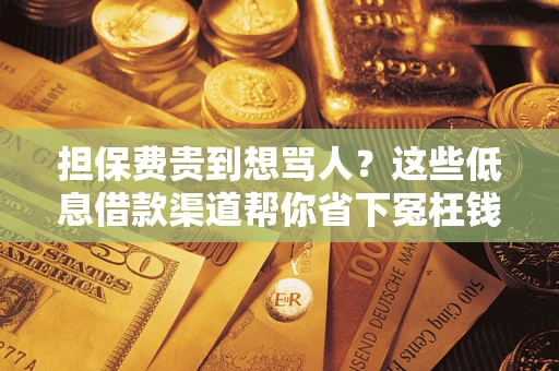 武汉担保费贵到想骂人？这些低息借款渠道帮你省下冤枉钱