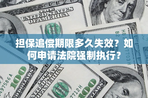 武汉担保追偿期限多久失效？如何申请法院强制执行？