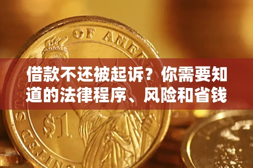 武汉借款不还被起诉？你需要知道的法律程序、风险和省钱技巧